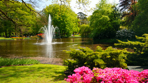 Keukenhof Package 2 or 3 days_1